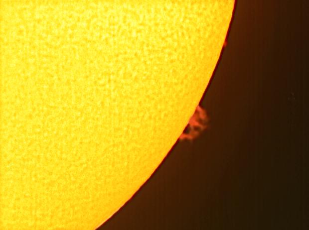 Sole 23-08-2009 17,00  40s